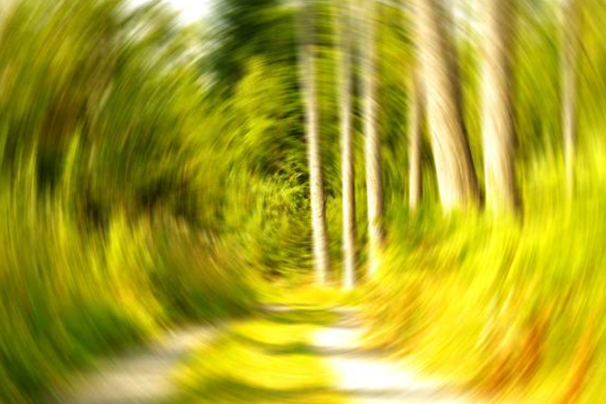 메니에르와 관련된 사진2