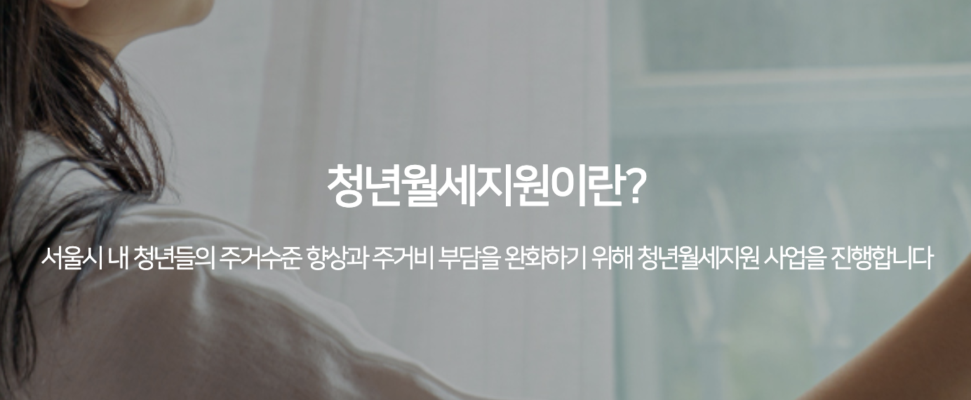 2025 서울시 청년 지원금 총정리