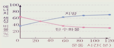 운동중-에너지-동원순서