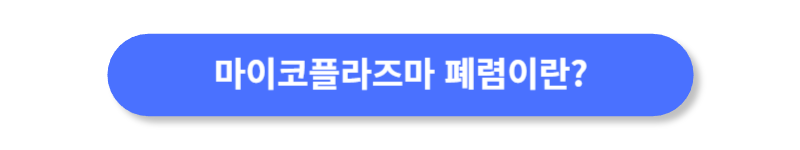 버튼