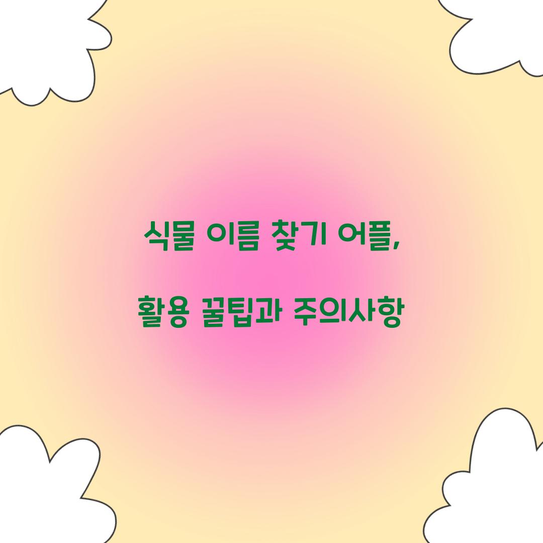 식물 이름 찾기 어플