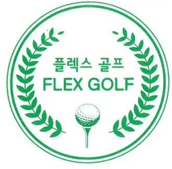 골프 플렉스 선택 기준 시니어 헤드스피드 토크 길이 매칭_4