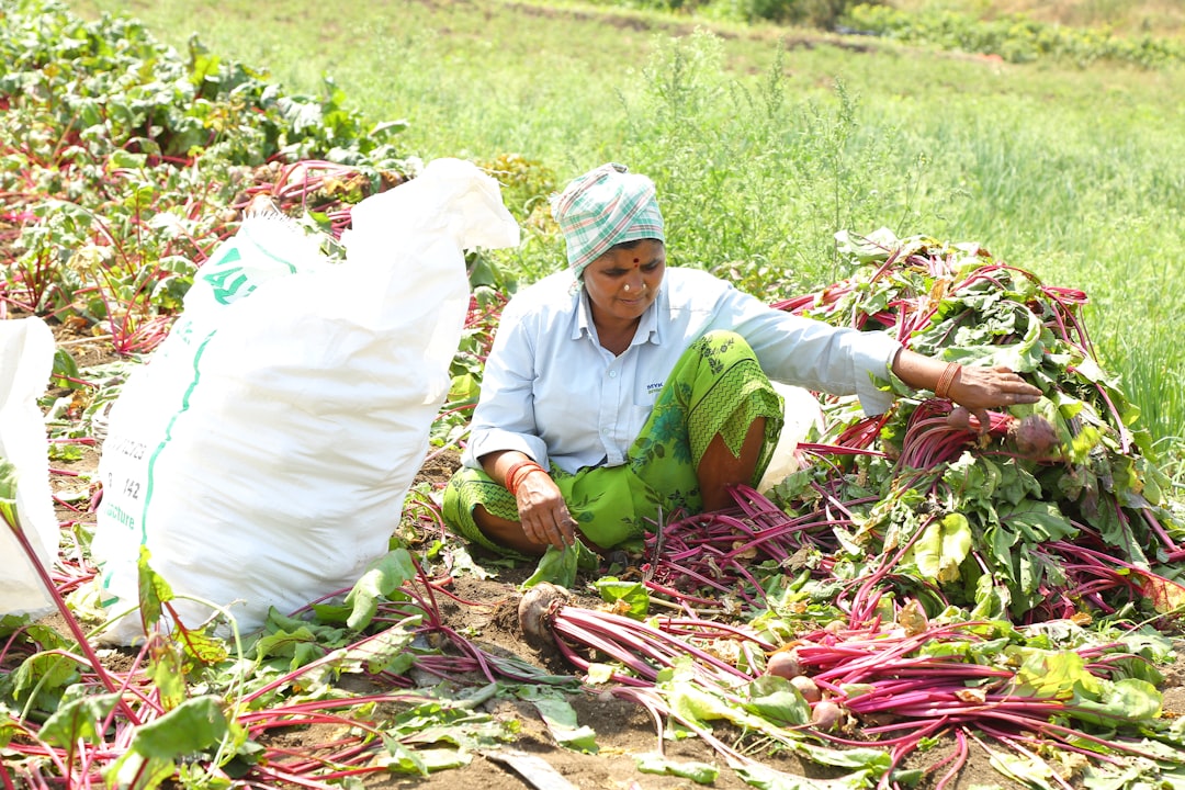 Farmers' pension.