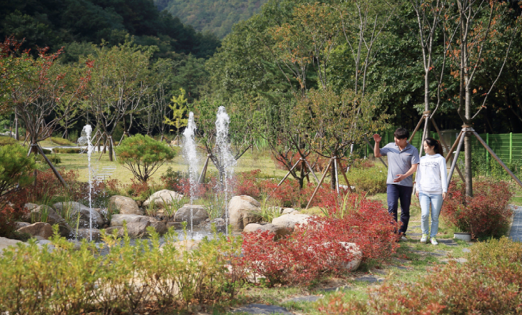 동해 무릉건강숲