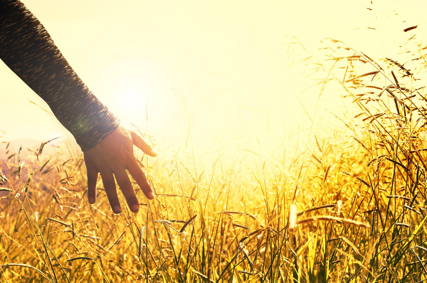 평온을-위한-삶의-여정