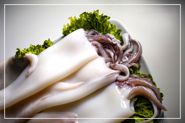 오징어의 주요 영양소