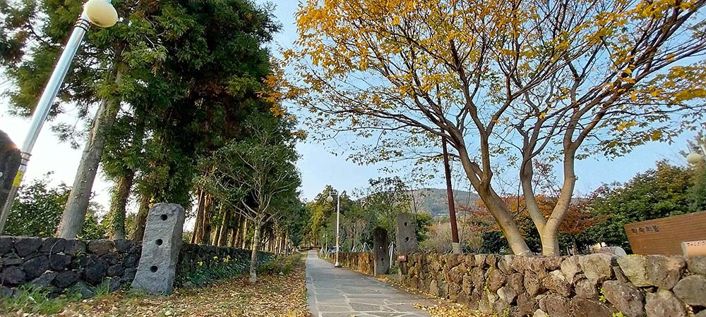 제주 서귀포 숲길