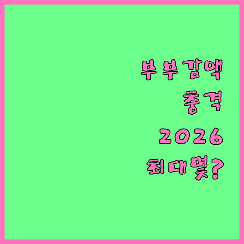 기초연금 부부 감액 제도 2026년 ..