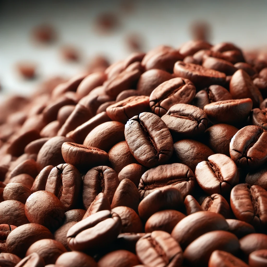 커피 원두의 종류