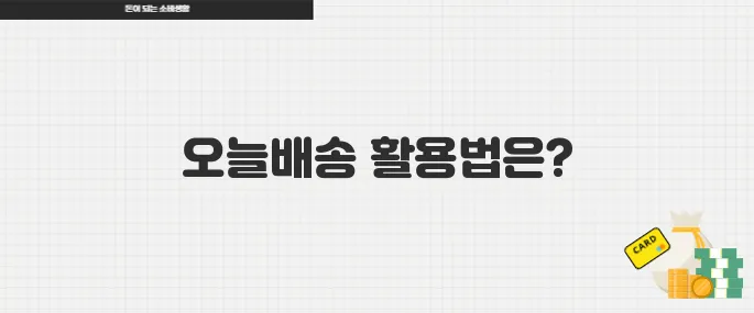 오늘배송 이용 꿀팁 다이소와 주요 쇼핑몰 빠른 배송 총정리