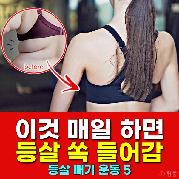 등살빼기 운동,등살빼는운동