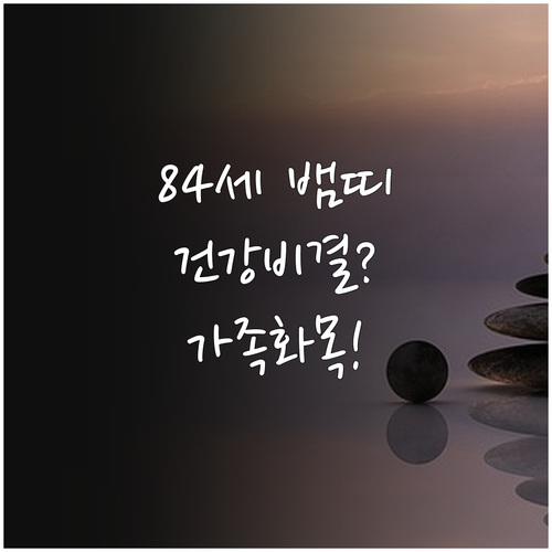 1941년생 뱀띠 2월 종합 정보 건..