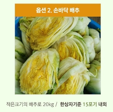 괴산 절임배추20kg