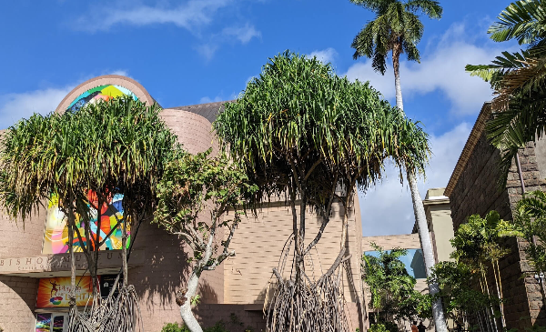 비솝-뮤지엄-사진