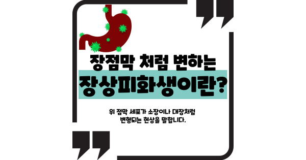 장상피화생이란