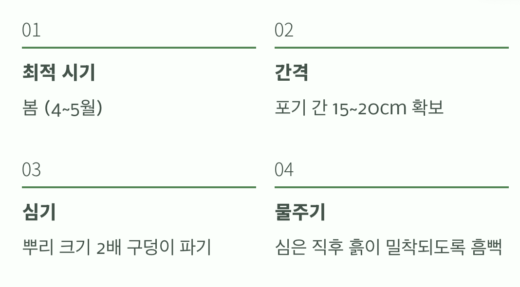 성공적인 첫걸음, 옮겨 심기