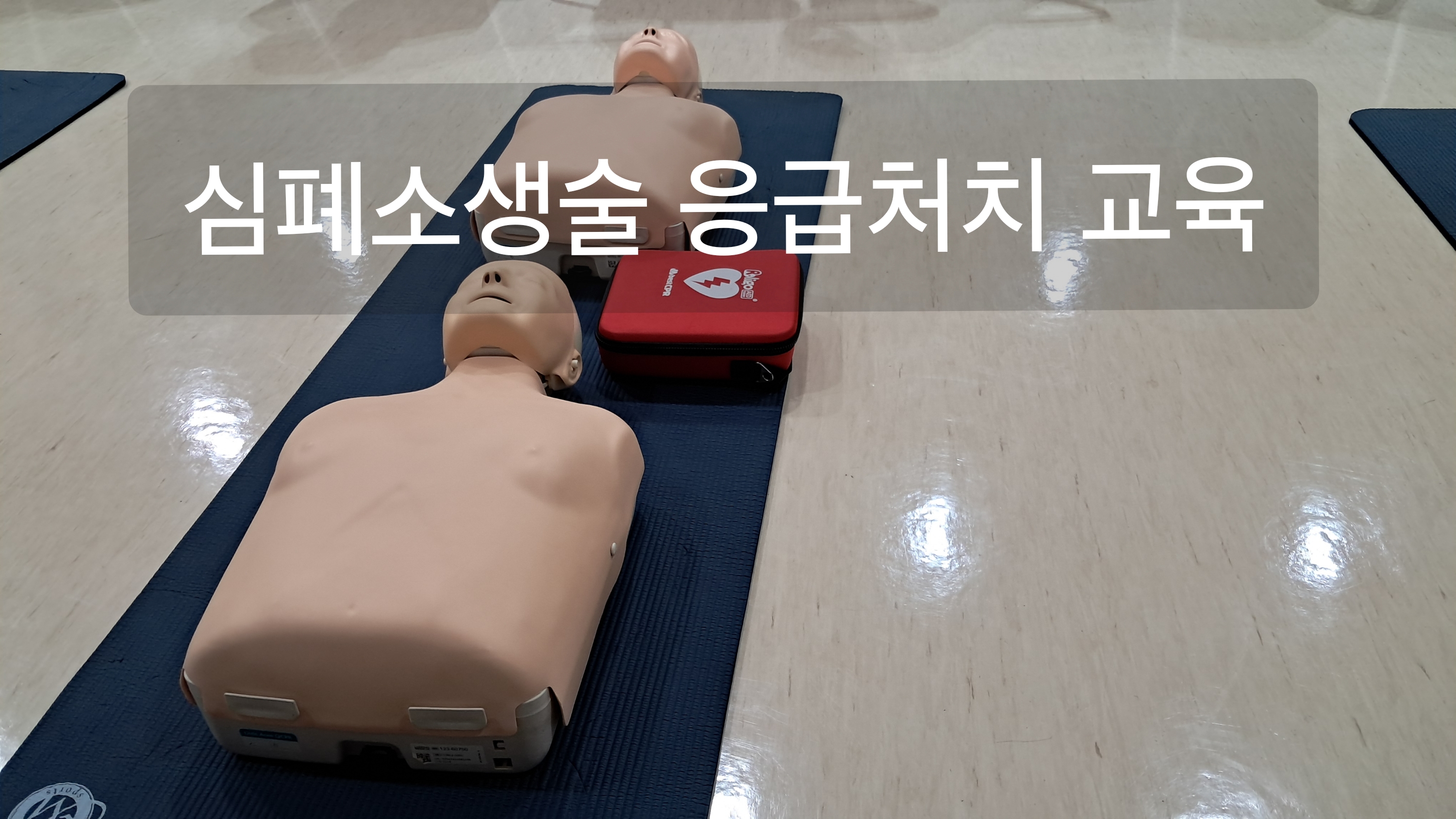 심폐소생술 응급처치교육