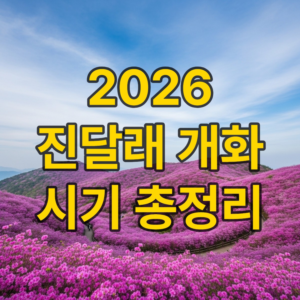 진달래 개화시기