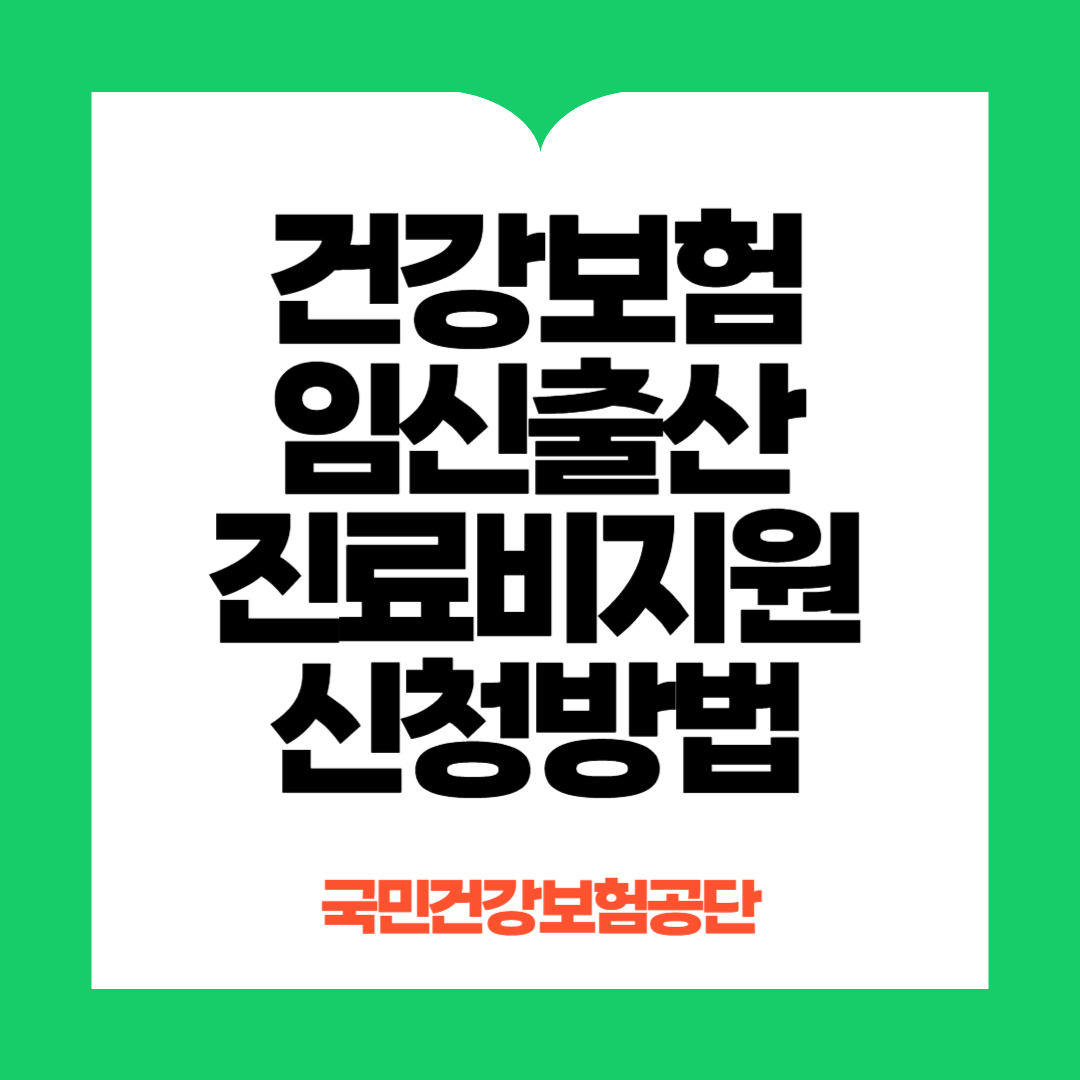 건강보험 임신출산진료비지원