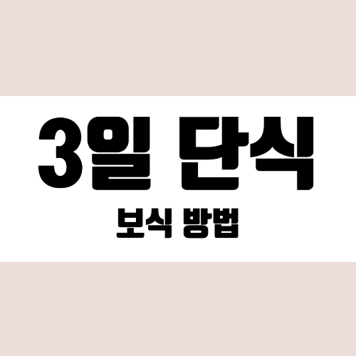 3일단식보식