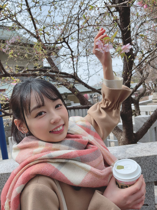 토키타 아미(Ami Tokita) 벗꽃 따는 모습