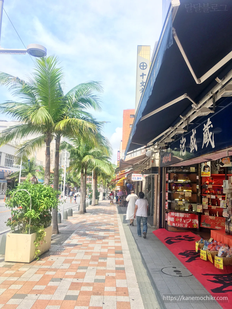 오키나와-국제거리