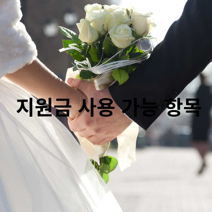 서울시 결혼비용 100만원 현금 지원제도