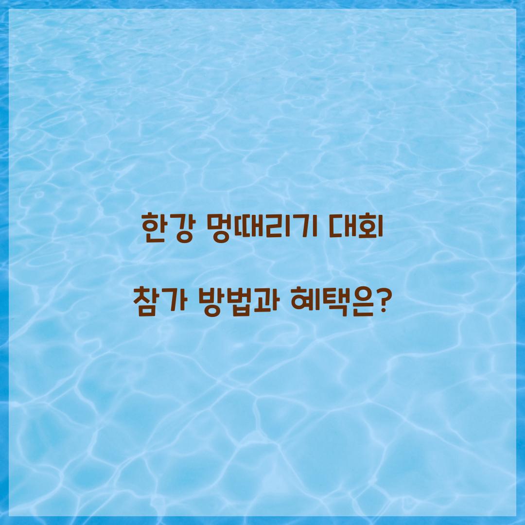 한강 멍때리기 대회