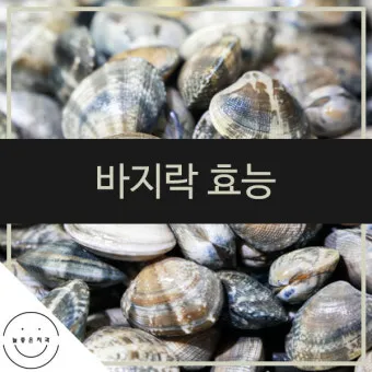 바지락 효능 보관방법 씻는법 해감시키는법_6