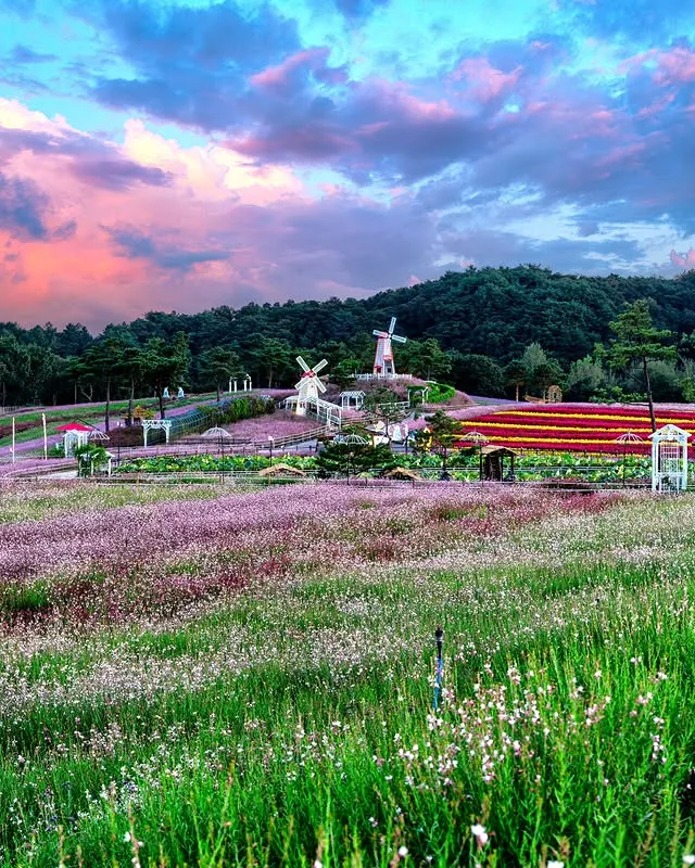 철원 고석정 꽃축제 살펴보기 6