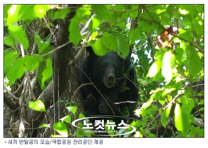 자연과 상생하는 개발, 가능할까?