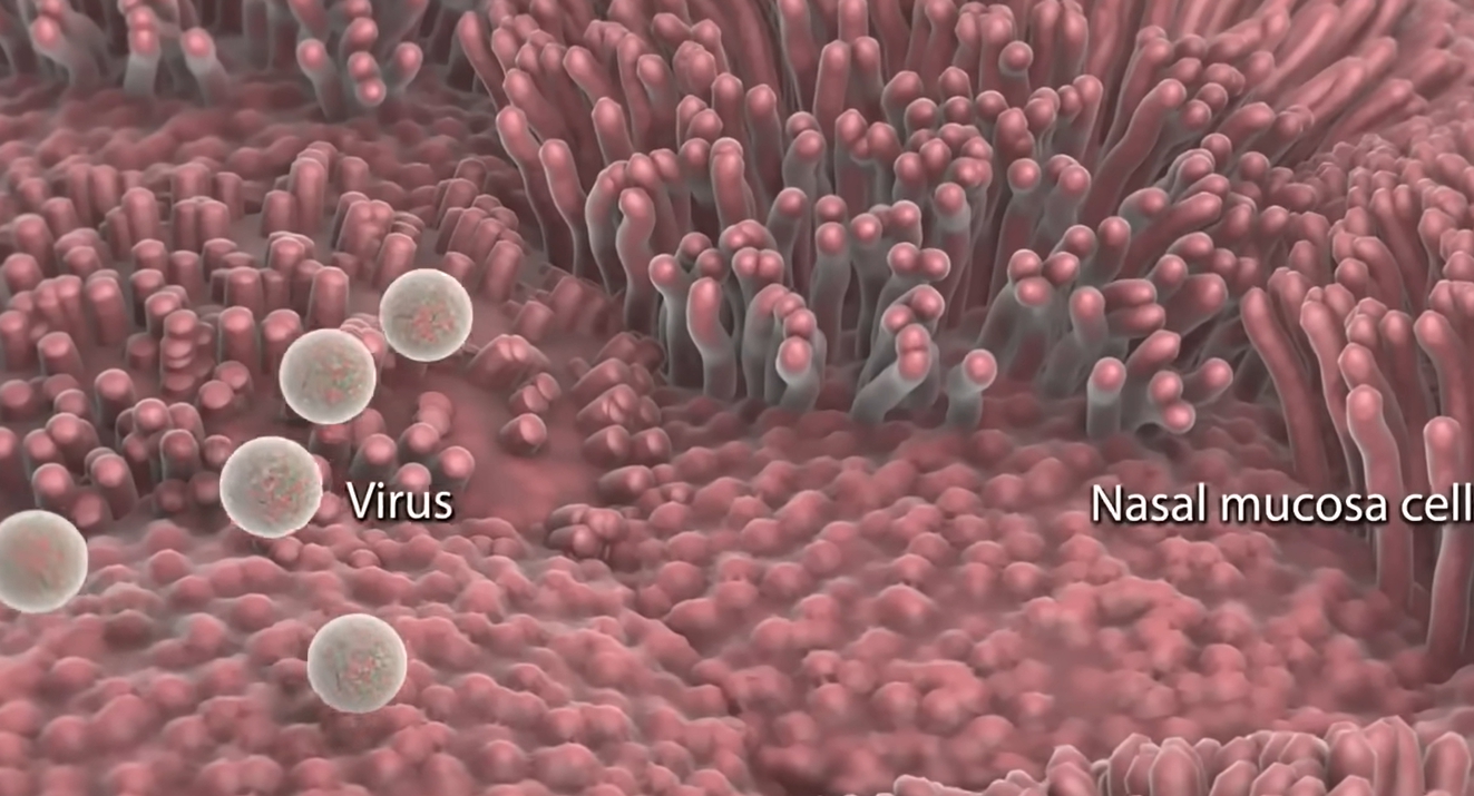 콧물이 계속 나는 이유