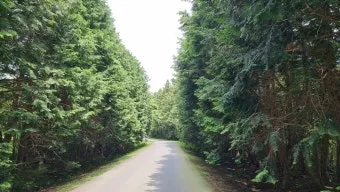 걷기 좋은 명품 숲길 50선 전국 서울 경기_26