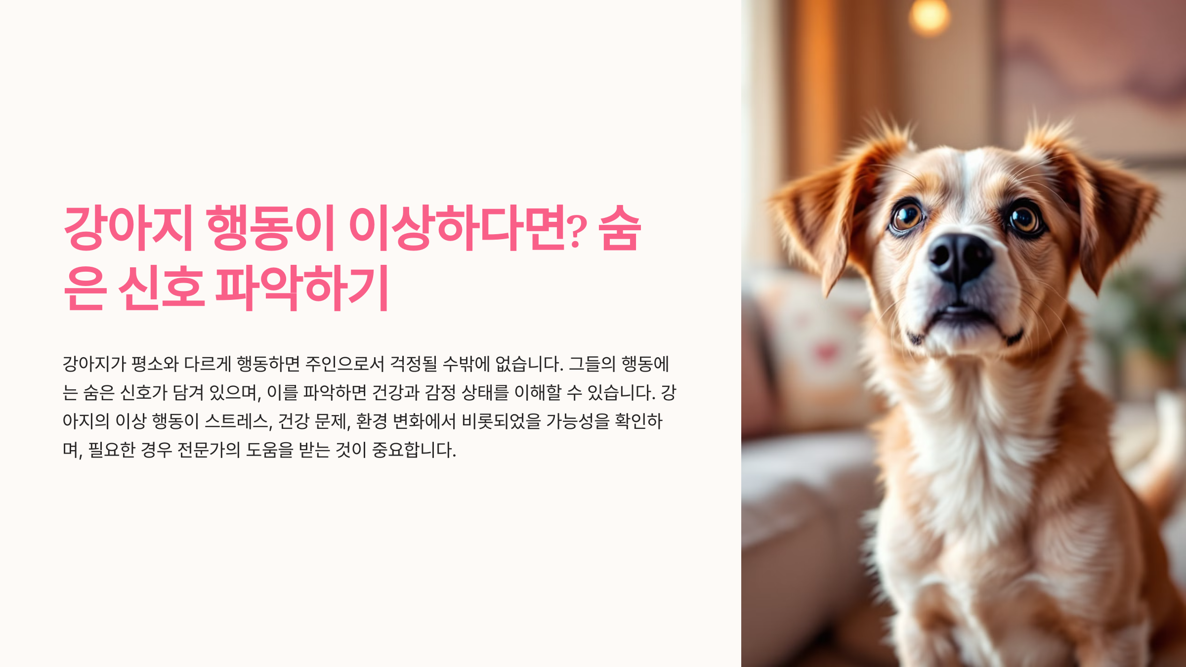 강아지 행동이 이상하다면? 숨은 신호 파악하기