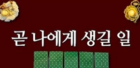 타로 맛집
