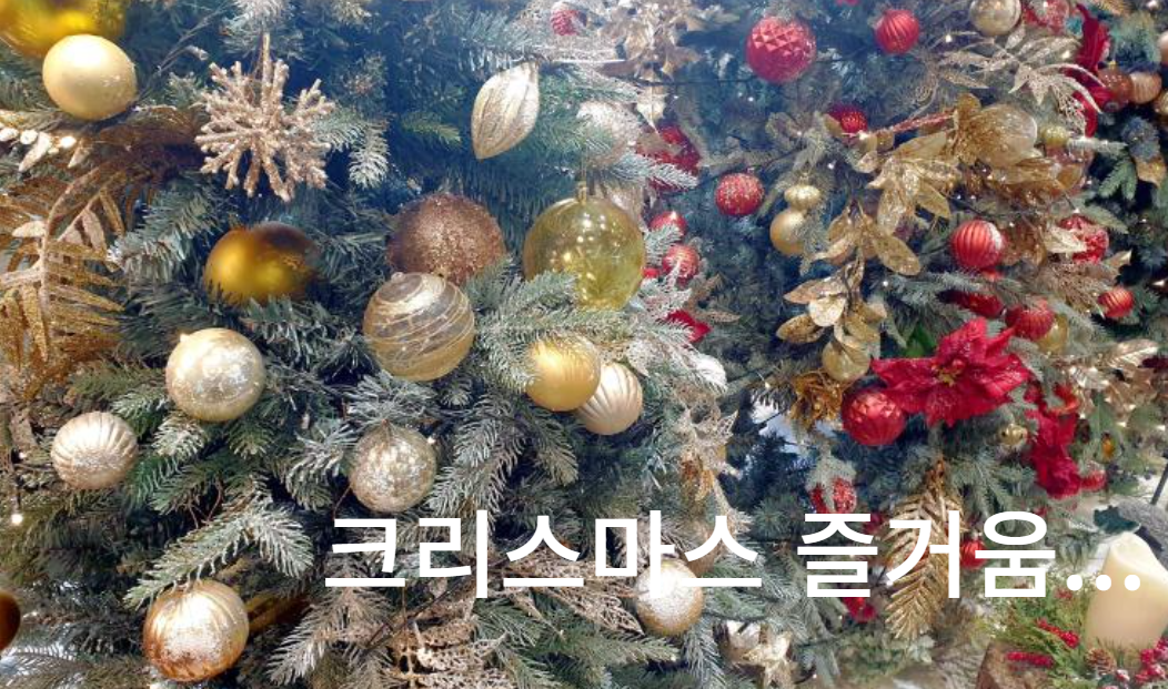 크리스마스의 즐거움