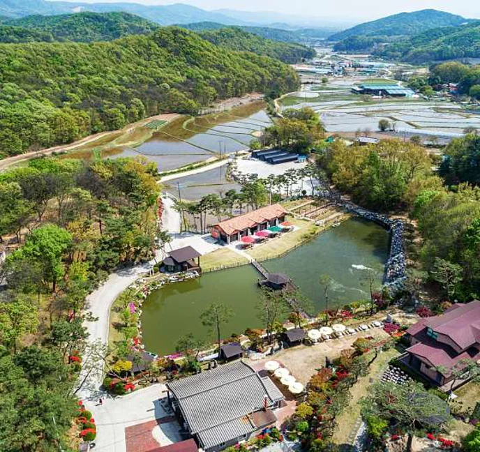 숲을그리다
