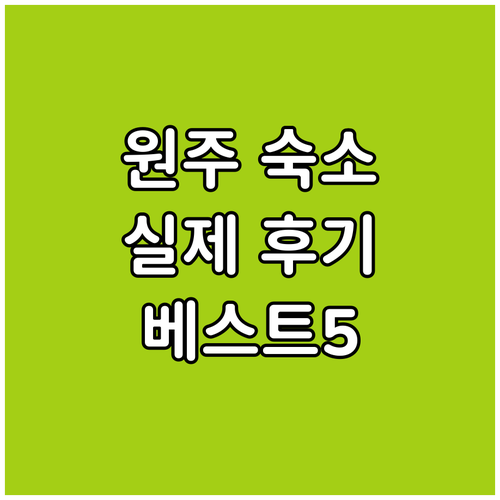 원주 숙소 추천 베스트 5 위치별 특..