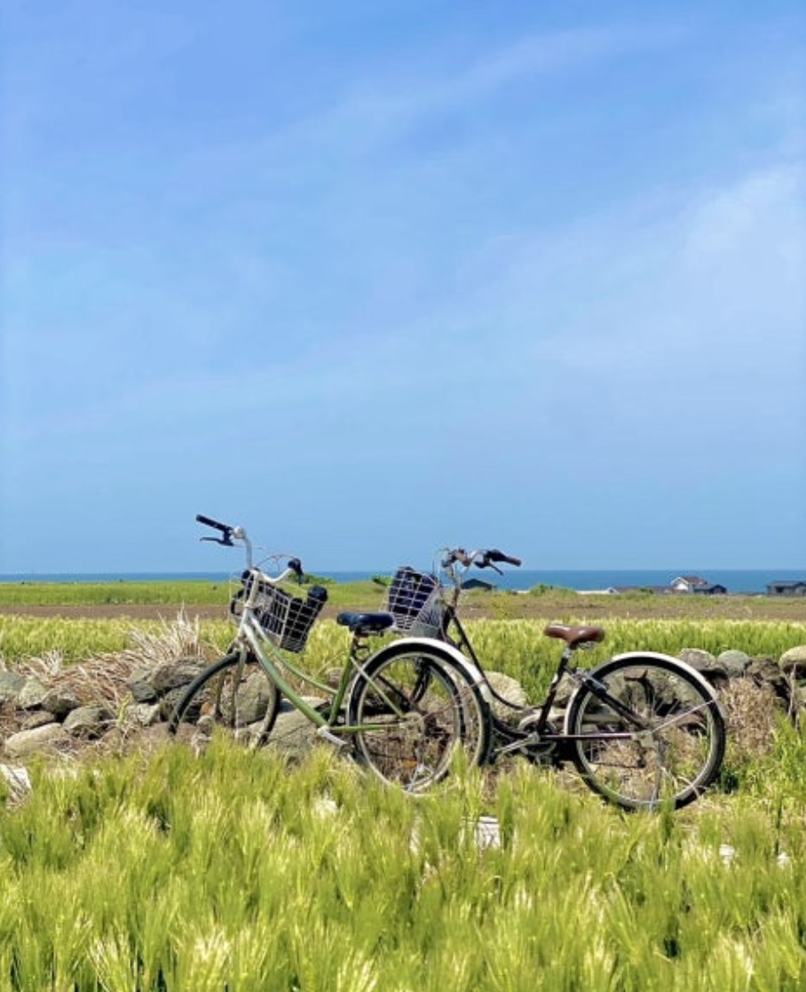 유채꽃과 청보리가 아름다운 가파도 여행