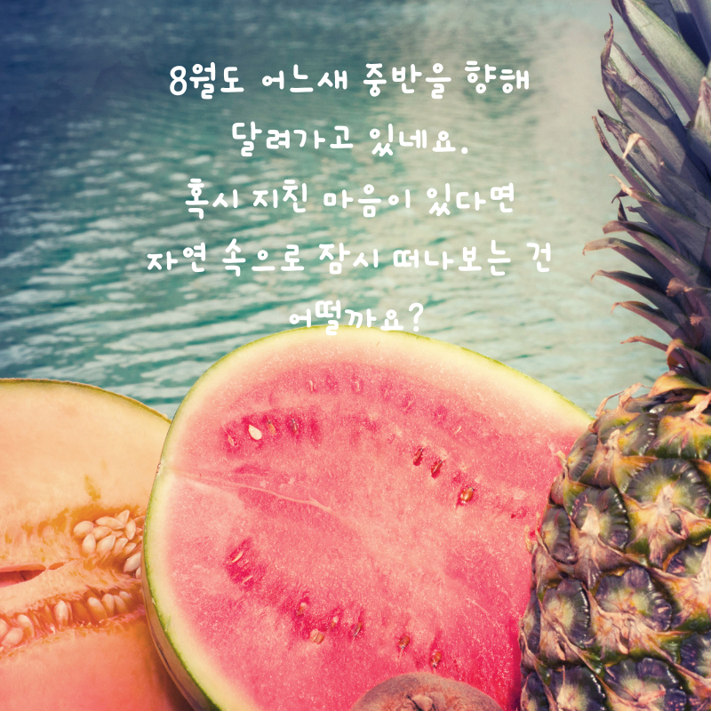 8월 인사말 카톡 문자 메세지 안부 이미지 모음집