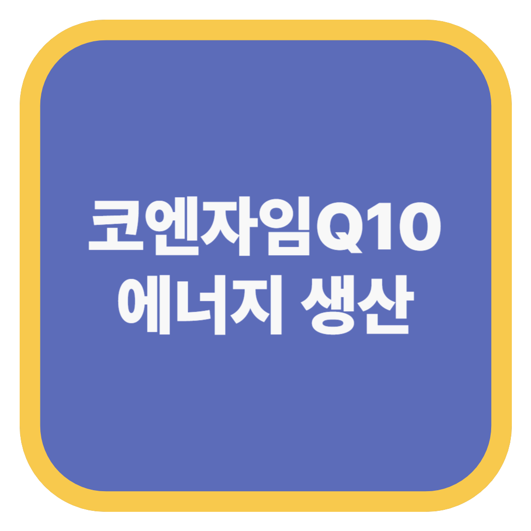 코엔자임Q10 에너지 생산