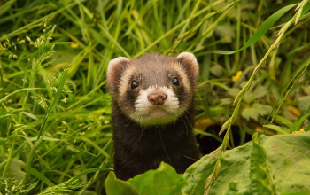 경기도 청년복지포인트 2025년 최신정보 17