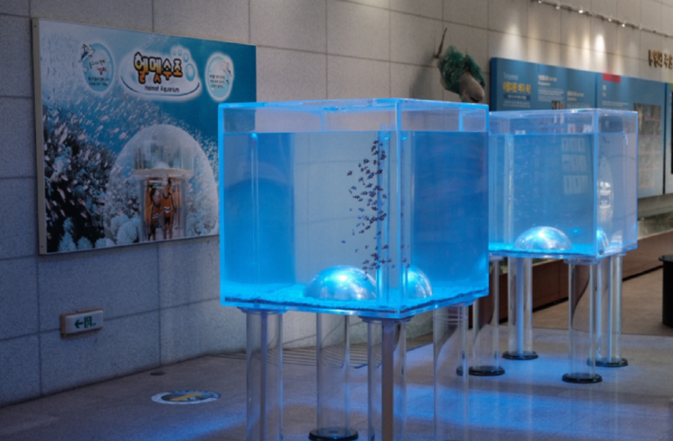 통영 수산과학관