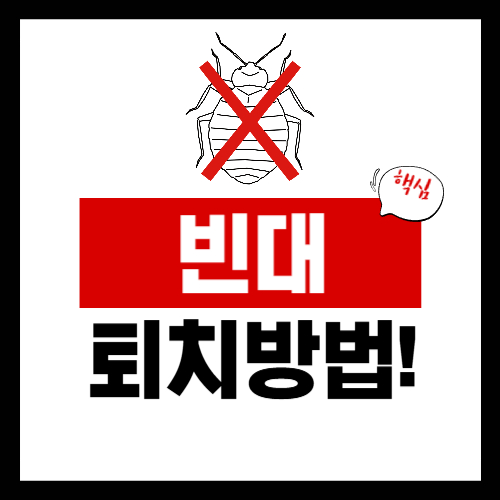 빈대 물린 자국 특징과 퇴치법 총정리