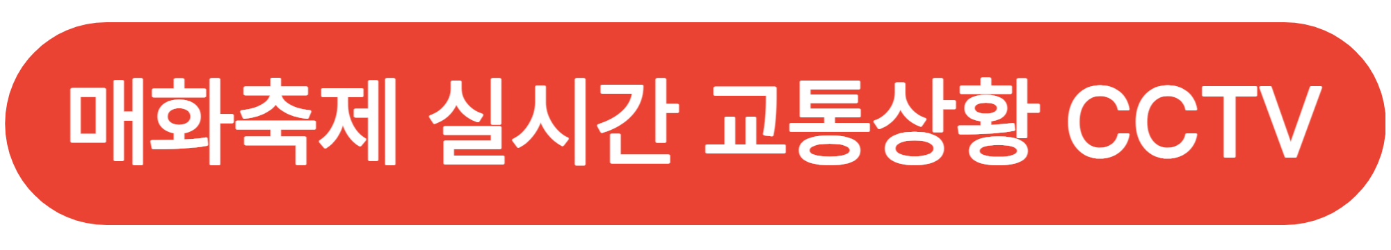 광양매화축제