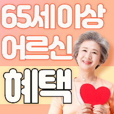 65세 이상 어르신 혜택 2024년