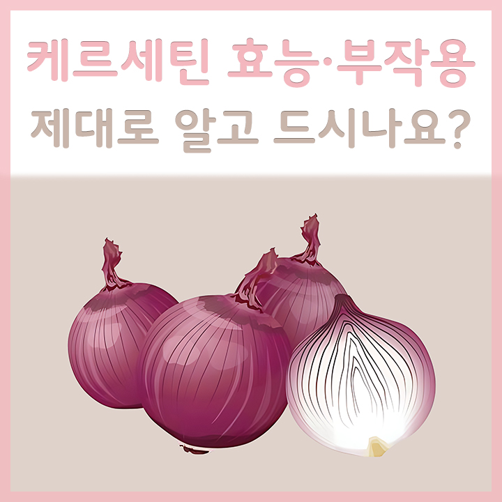 케르세틴의-주-원료