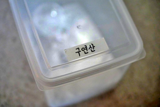 전기주전자 바닥 물때 세척,구연산 활용법