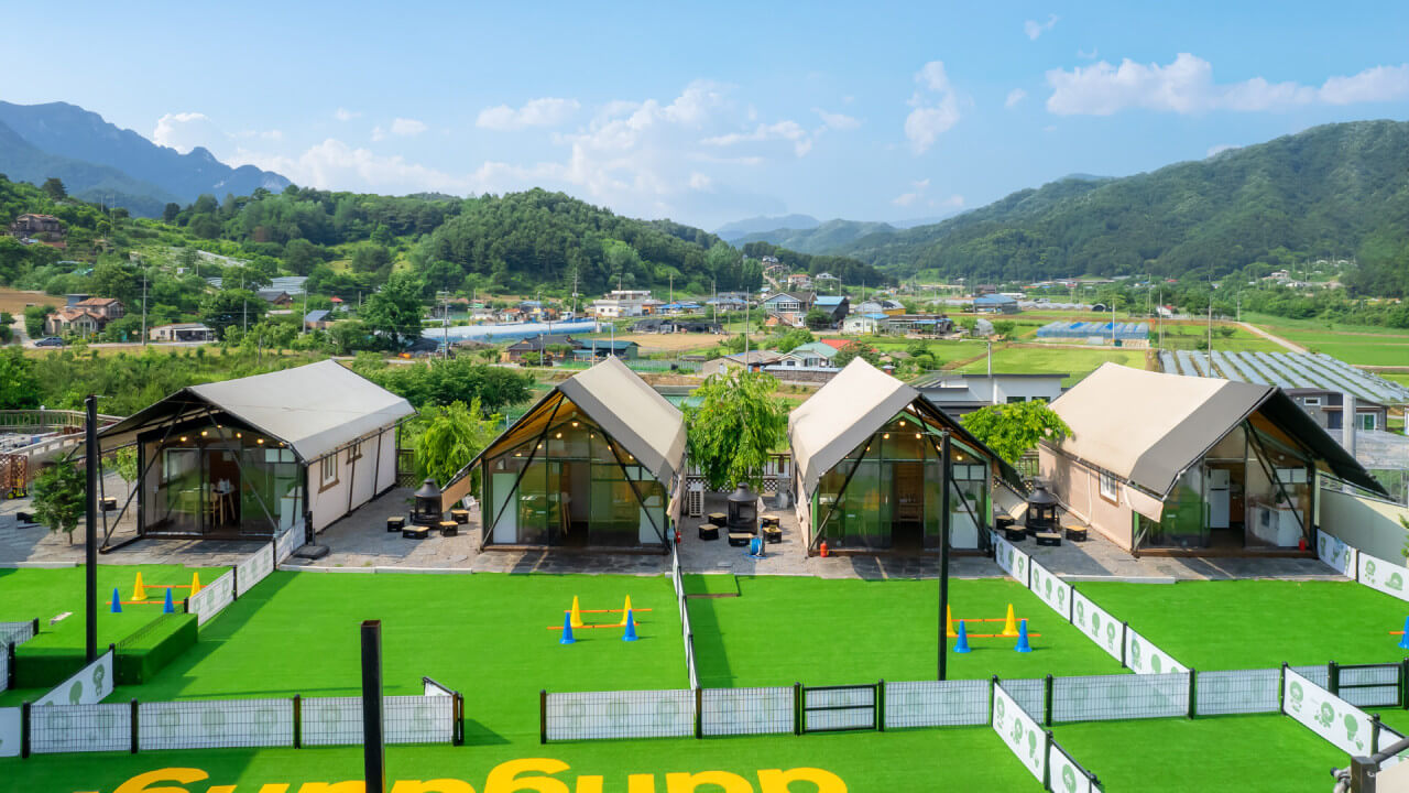 애견 동반 글램핑