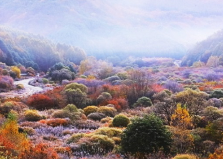 비밀의 정원